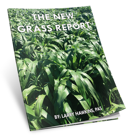 Free Resource - New Grass Report