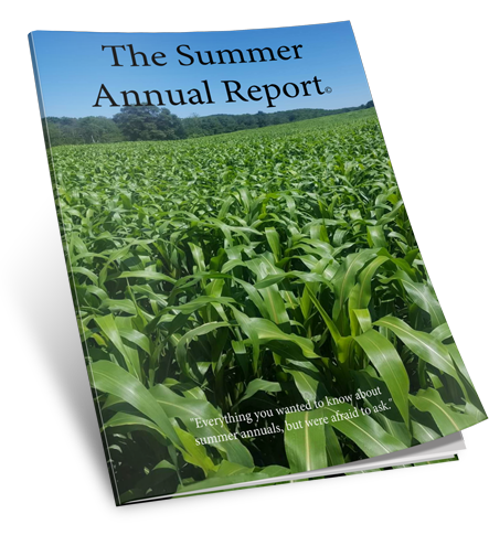 The Summer Annual Report
