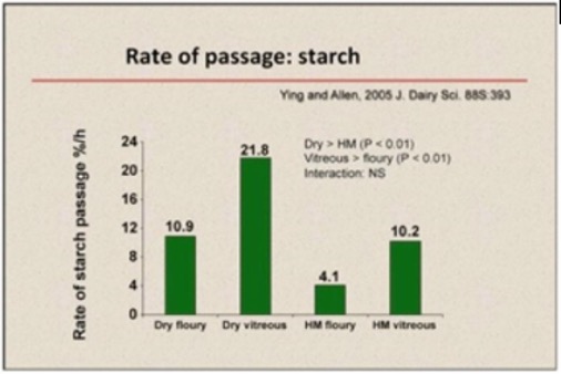 rate of passage: starch